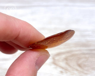 Baltic Amber #25