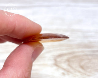 Baltic Amber #25