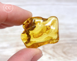 Baltic Amber #26