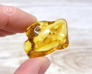 Baltic Amber #26