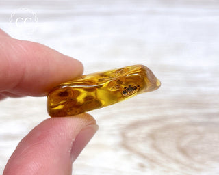 Baltic Amber #26