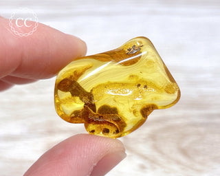 Baltic Amber #26
