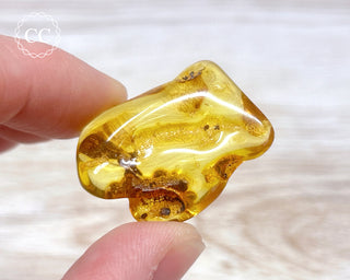 Baltic Amber #26