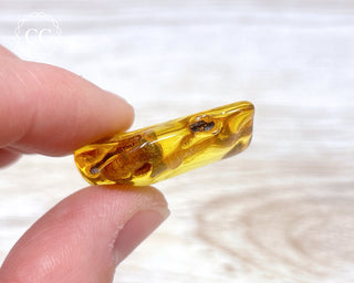 Baltic Amber #26