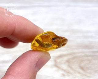 Baltic Amber #26