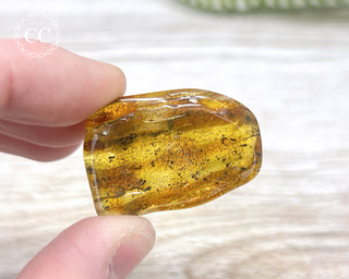Baltic Amber #3