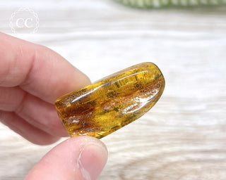Baltic Amber #3