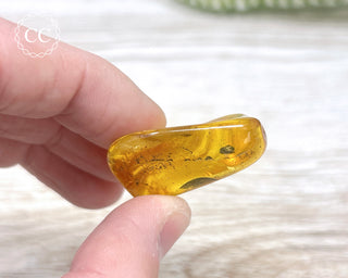 Baltic Amber #4
