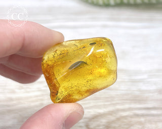 Baltic Amber #4