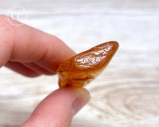 Baltic Amber #8