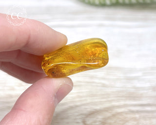 Baltic Amber #4