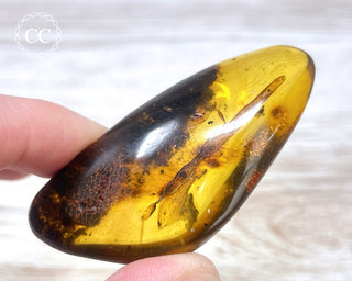 Baltic Amber #4