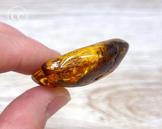Baltic Amber #9