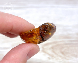 Baltic Amber #9