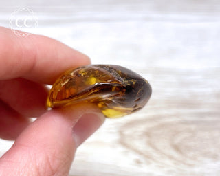 Baltic Amber #9