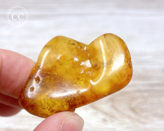 Baltic Amber #10