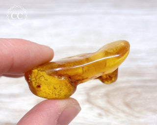 Baltic Amber #10