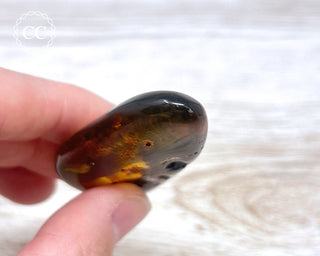 Baltic Amber #4