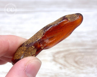 Baltic Amber #11