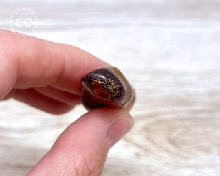Baltic Amber #11