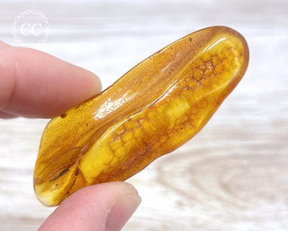 Baltic Amber #12
