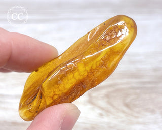 Baltic Amber #12