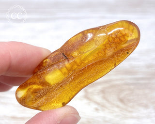 Baltic Amber #12