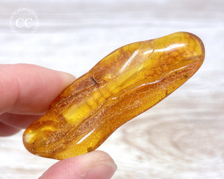 Baltic Amber #12