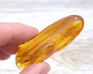 Baltic Amber #12