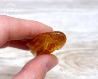 Baltic Amber #12