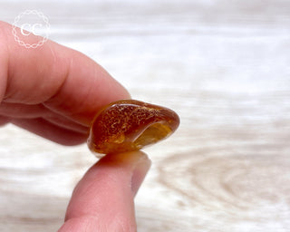 Baltic Amber #13