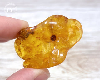 Baltic Amber #14