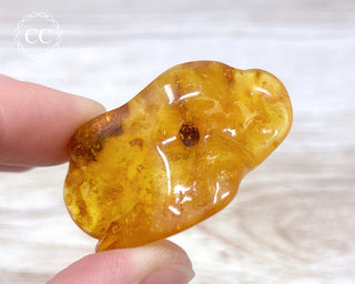 Baltic Amber #14