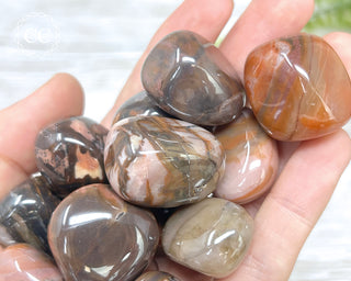 Bamboo Leaf Jasper Tumbled Crystal