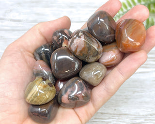 Bamboo Leaf Jasper Tumbled Crystals in hand