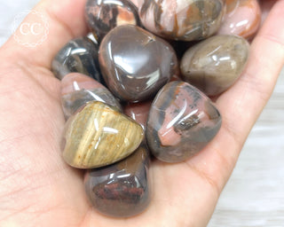 Bamboo Leaf Jasper Tumbled Crystal