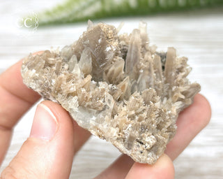 Baryte - Clara Mine #2