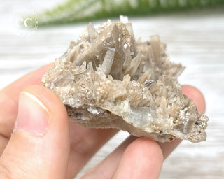 Baryte - Clara Mine #2