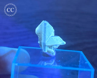 Baryte Crystal - Linwood Mine #3