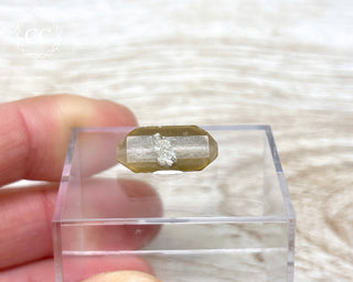 Baryte Crystal - Linwood Mine #4