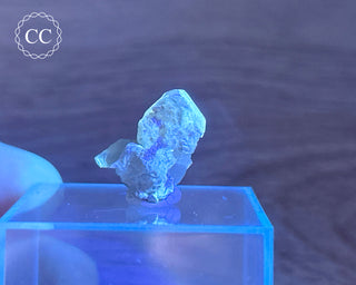 Baryte Crystal - Linwood Mine #3