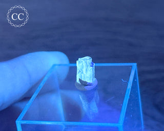 Baryte Crystal - Linwood Mine #5