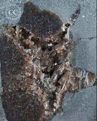 Baryte Septarian Nodule - Drome, France #4