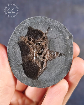 Unusual Septarian nodule from Gumaine, Drome, in the Auvergne-Rhône-Alpes in France.