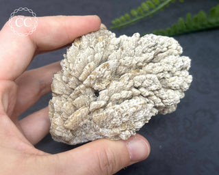 Baryte Specimen - UK #1