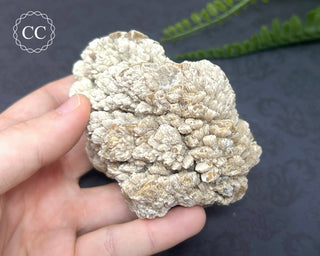 Baryte Specimen - UK #1