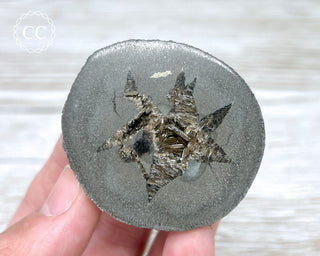 Baryte Septarian Nodule - Drome, France #2