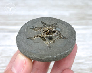 Baryte Septarian Nodule - Drome, France #2