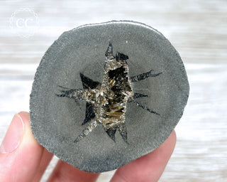 Baryte Septarian Nodule - Drome, France #8