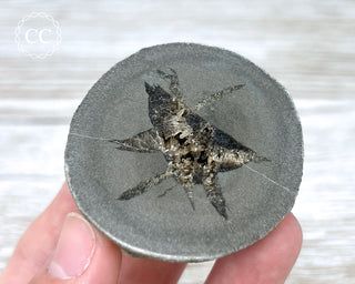 Baryte Septarian Nodule - Drome, France #10